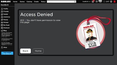 Banned from bad business, need help also bad from discord server, dont know  why. : r/BadBusinessROBLOX