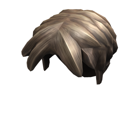 Category Hair Accessories Roblox Wikia Fandom - quill coif roblox