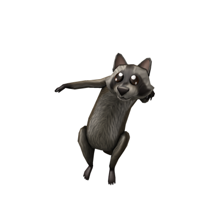 Catalog Shoulder Raccoon Roblox Wikia Fandom - raccoon roblox