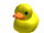 Rubber Duckie