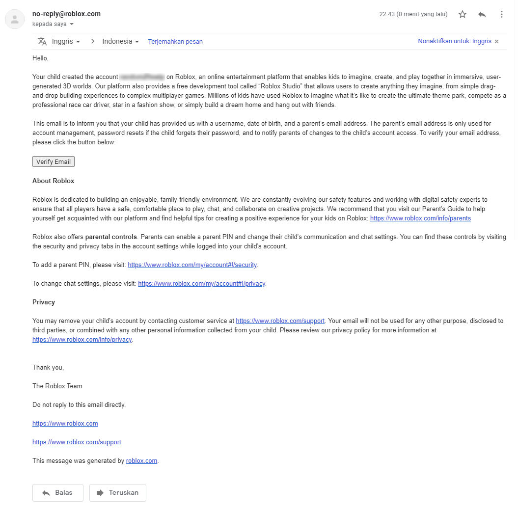 Email Verification Roblox Wiki Fandom - roblox email verification