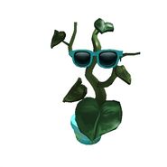 The fourth form of this hat, The Shady Plant.