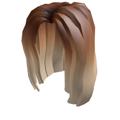 Category Hair Accessories Roblox Wikia Fandom - catalog twisted n braided in shimmering brown roblox wikia fandom