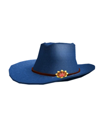 baby blue cowgirl hat