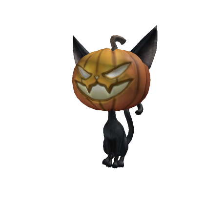 pumpkin black cat