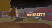 PewterCityPP.jpeg