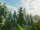 Alpha Strike Group/Roblox - Realistic Forest Demo