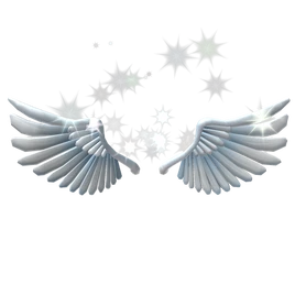 Sparkling Angel Wings