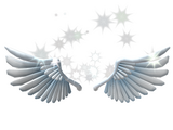 Catalog:Sparkling Angel Wings