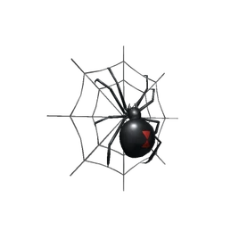 Black Widow Back Web
