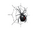 Black Widow Back Web