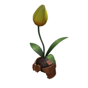 Yellow Tulip