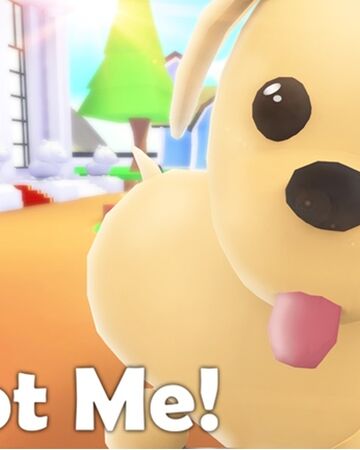 Adopt Me Wiki Roblox Fandom - casa roblox app