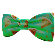 Neon Watermelon Bow Tie