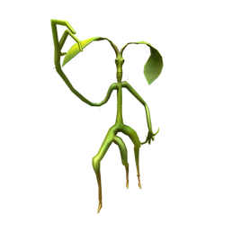 Pickett Shoulder Companion