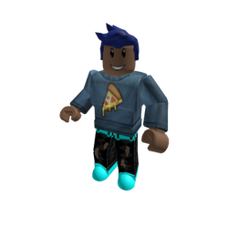 Avatar, Roblox Wiki