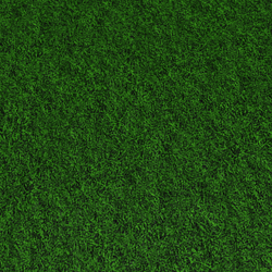 Grass Roblox Wiki Fandom - roblox new grass