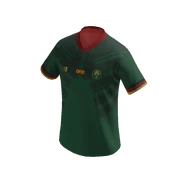 Cameroon Jersey