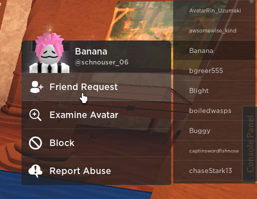 How to add Friend Removal Button ROBLOX 