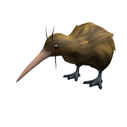 Kiwi Bird Buddy