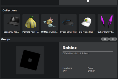 RARE ROBLOX GROUPS 