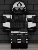 Security Assault.jpg