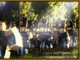 Bot commander