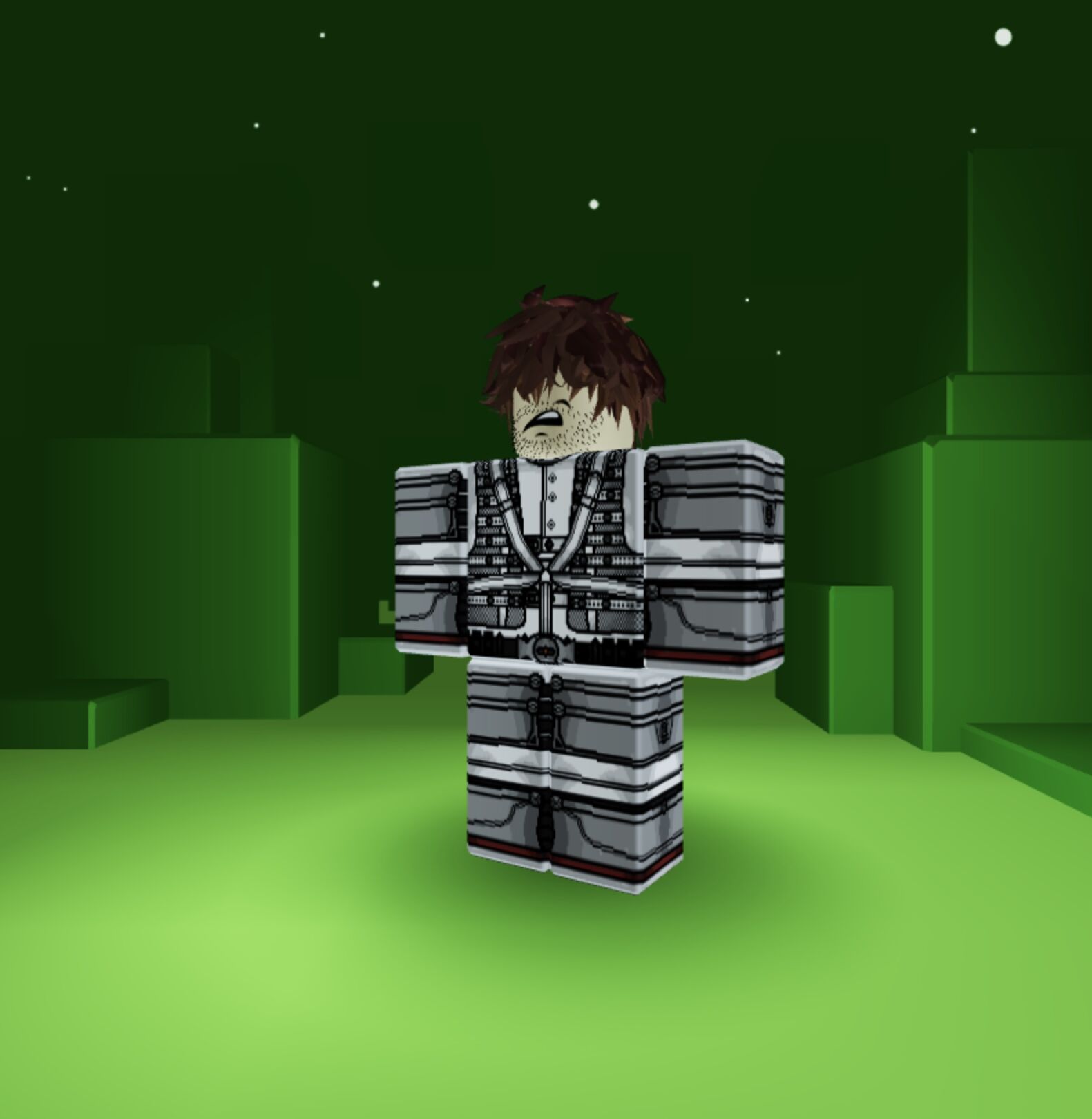 Mr. Brookhaven, Robloxiapedia