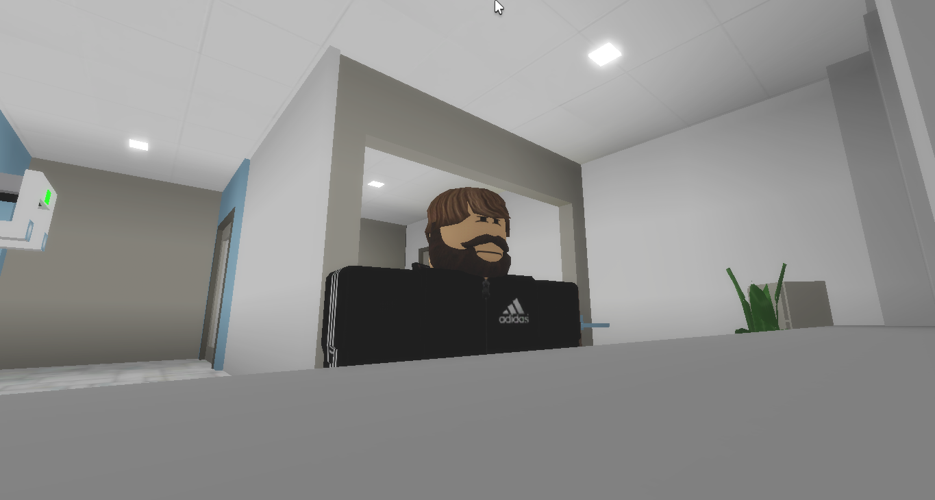 Mr. Brookhaven, Robloxiapedia