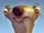 Ronora Sloth Face