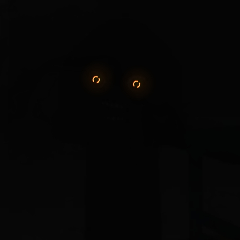 The Intruder - Roblox