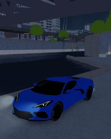 What Is The Best Race In Driving Simulator Roblox