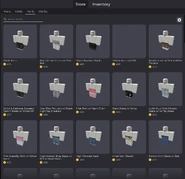 Shop Pants Page.png (198 KB) The pants shop