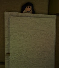 Top of the door frame (Moire)