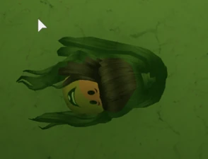 Mysterious Disappearance (Amani)