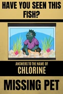 Chlorine on a missing pet poster found in the lobby (drawn by hamburgermagi/badboyjal0#0084)