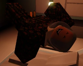 Experimented (Haneen)