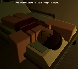 Hospital Bed (Colleen)