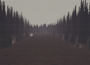 The forest path the player walks down in "interlude".