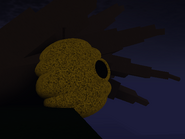 The beehive attached to a fallen tree on a side of the island.