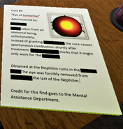 This document goes into some detail explaining Immortius’ eye, found inside the second door starting from the left of the hallway.