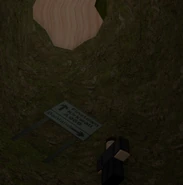 Solomon3.png (461 KB) The road sign underneath the tree.