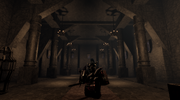 HEIRSIR Gallery7