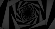 An image of the tunnel.