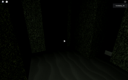 The maze that can be found after the obby is completed.