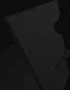 The birth date of Cecil, at the back of the picture the player gives to Bart in REJECTION.