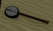 The banjo seen at the bottom of the pool of water.