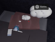Esmay’s dream, accessible by interacting with her in the cave.