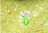 Teleport to “One Time.”