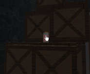A jar of blood that can be used for a quest.